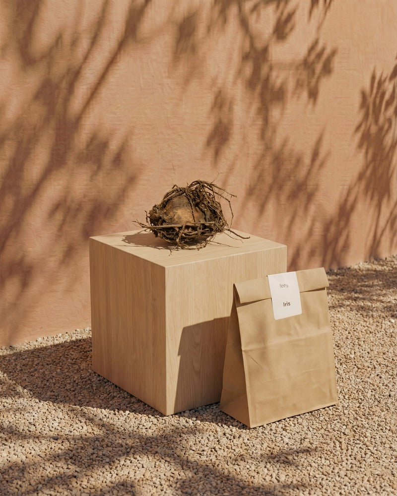 feey-iris-violett-rhizome-f-r-garten-und-balkon image 3