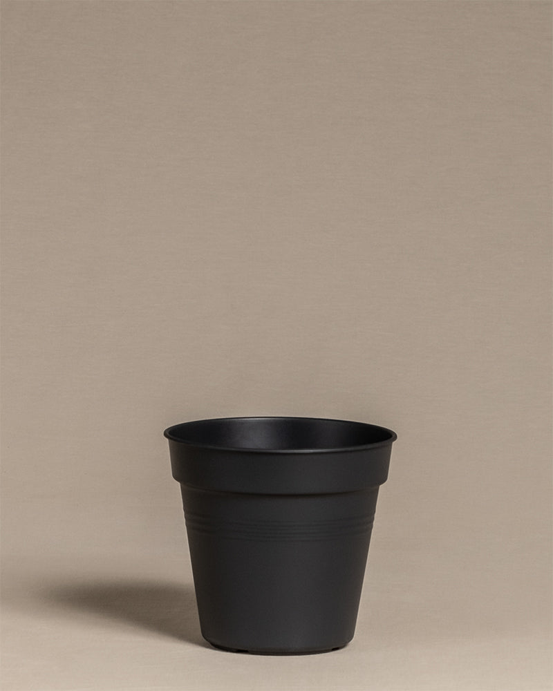 feey-innentopf-15-cm-kunststoff-mit-abtropfl-chern image 1