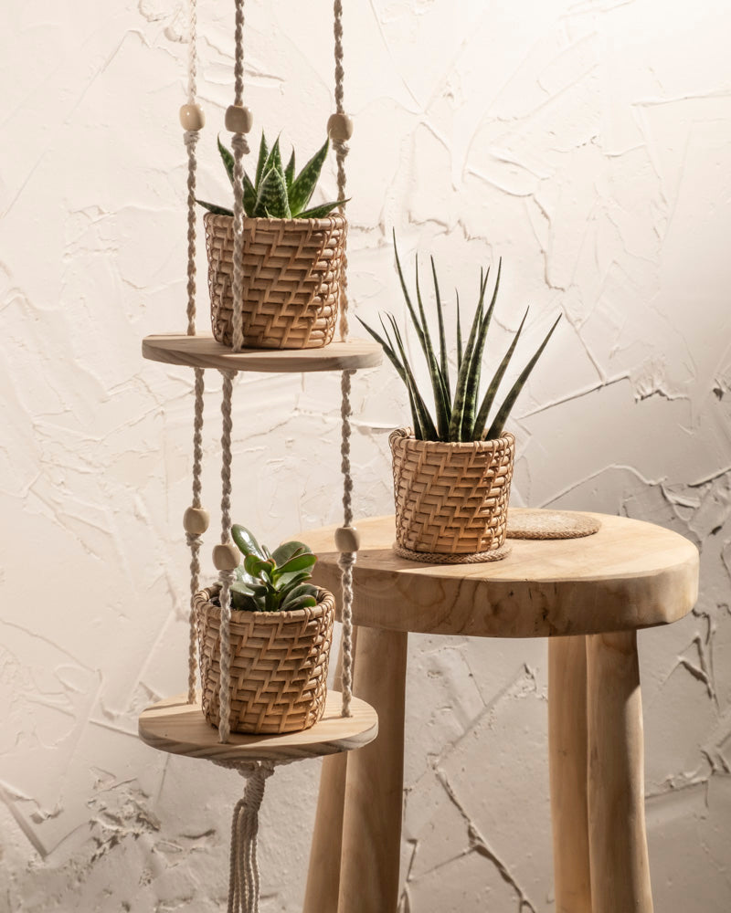feey-rattan-babypflanzen-korb-calen-3-stk image 2