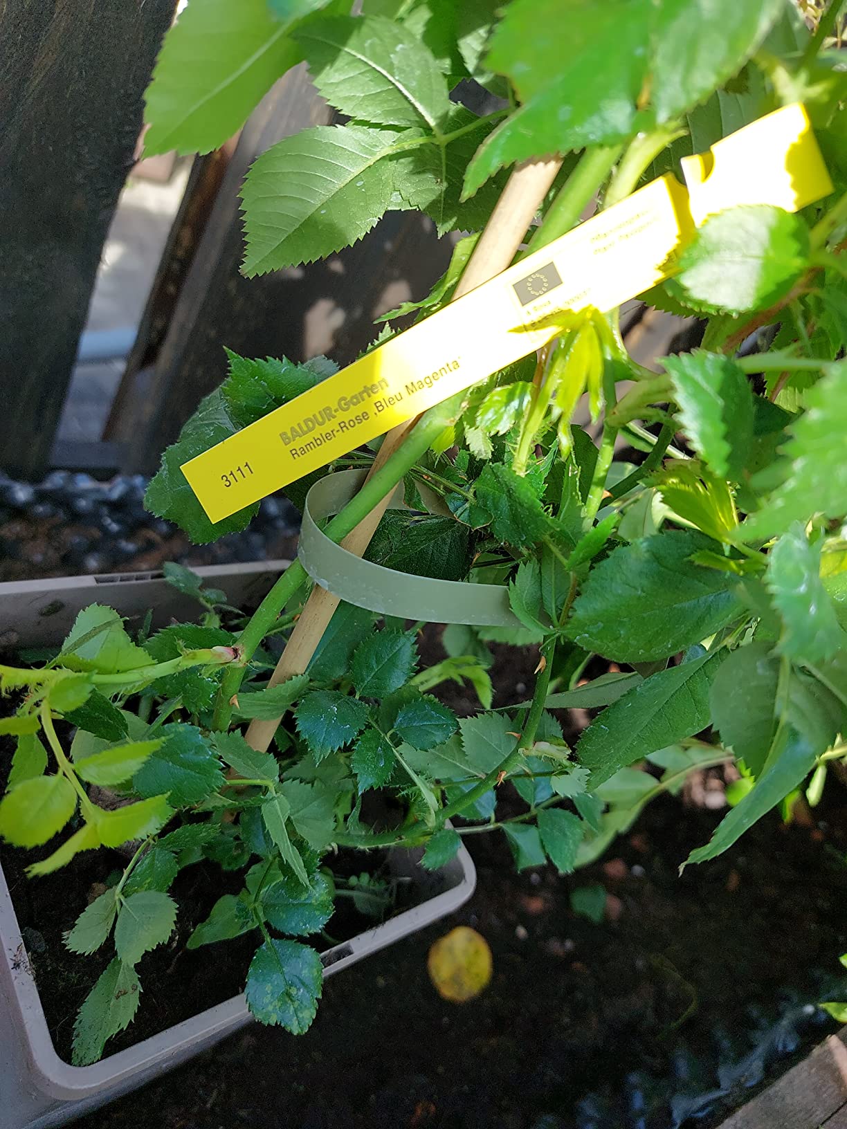 Für große Flächen ideal