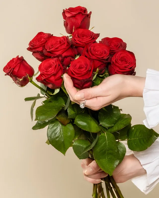 feey-rote-rosen-blumenstrau-liebeserkl-rung image 1