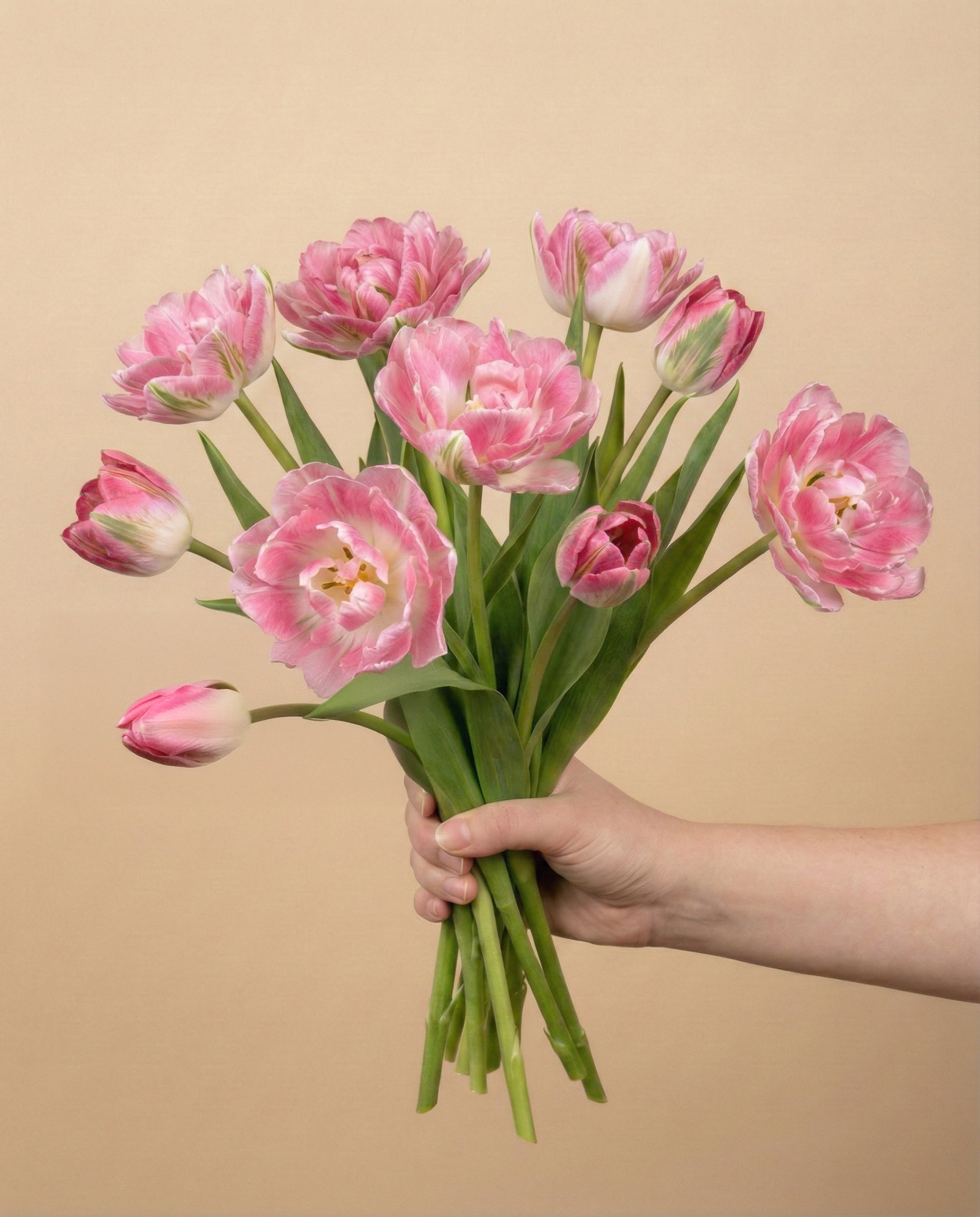 feey-tulpen-liebesgedicht-rosa-tulpenstrau image 3