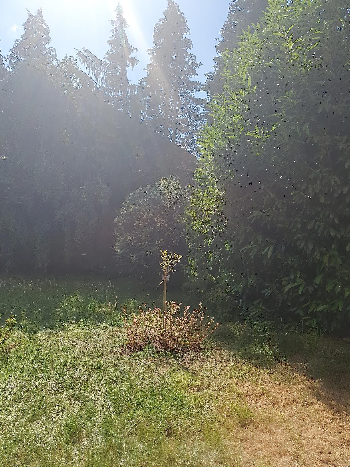 Klein aber wächst schnell