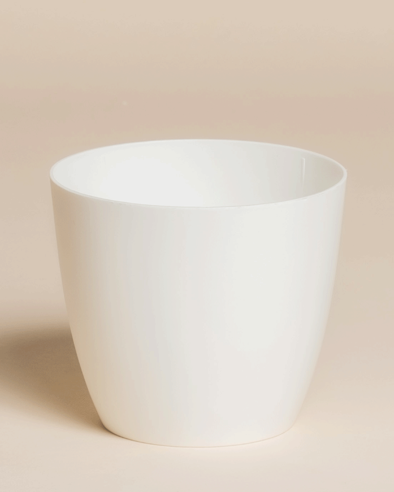 feey-kiki-kunststoff-topf-11cm-pflanztopf-f-r-jungpflanzen image 3
