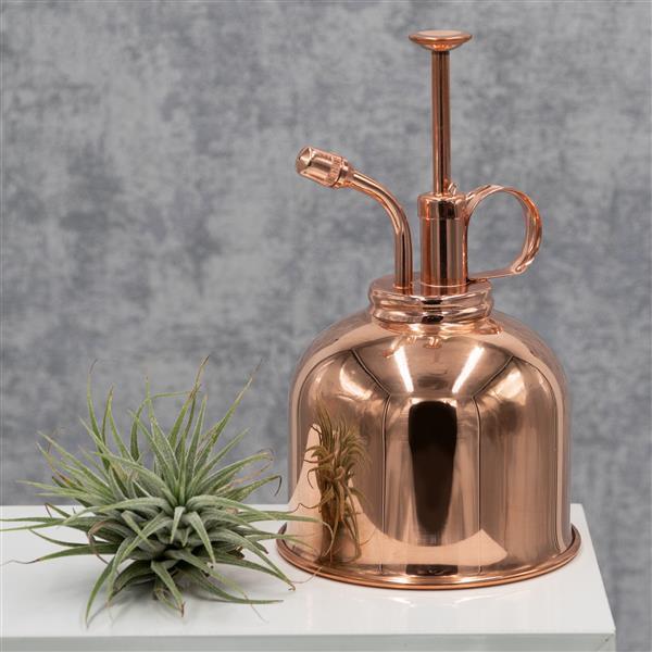 pasiora-premium-pflanzenspr-her-spr-hflasche-f-r-indoor-pflanzen image 3