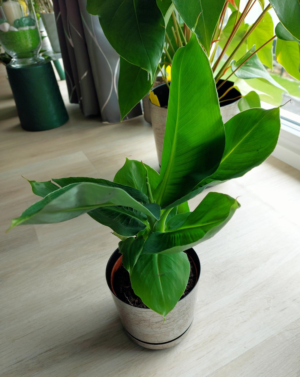 Urlaubsfeeling im Wohnzimmer