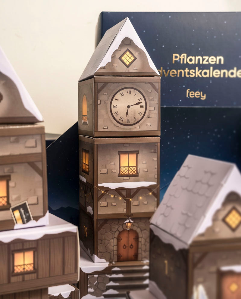feey-pflanzen-adventskalender-winterdorf-im-abendblau-dschungel-version image 5