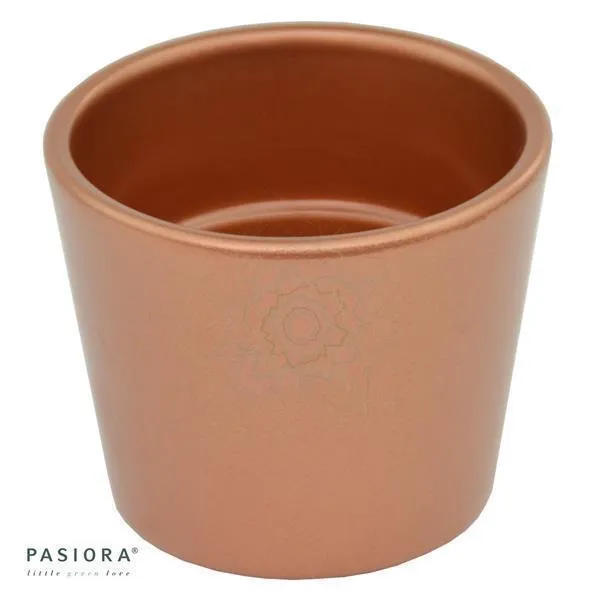 pasiora-bertopf-kupfer-f-r-6-cm-sukkulenten image 1