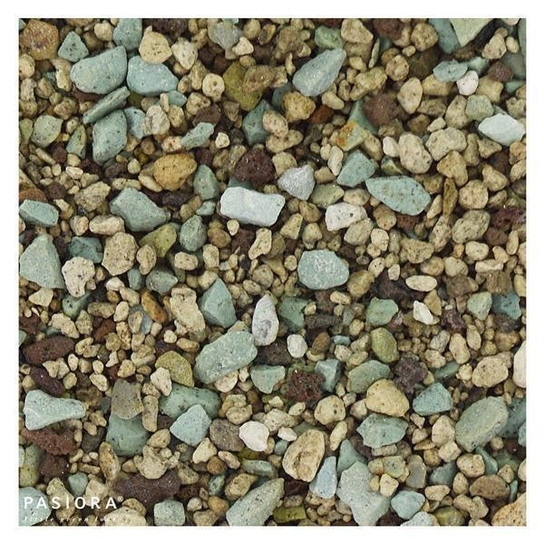 pasiora-kakteen-sukkulentensubstrat-premium-mineralische-mischung image 1