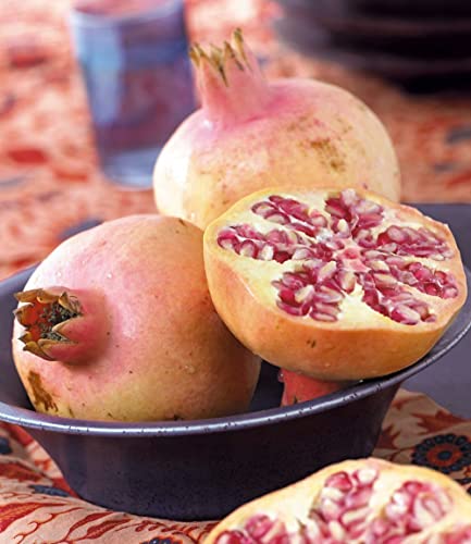baldur-garten-granatapfel-winterharte-nutz-zierpflanze-im-9x9-cm-topf image 6