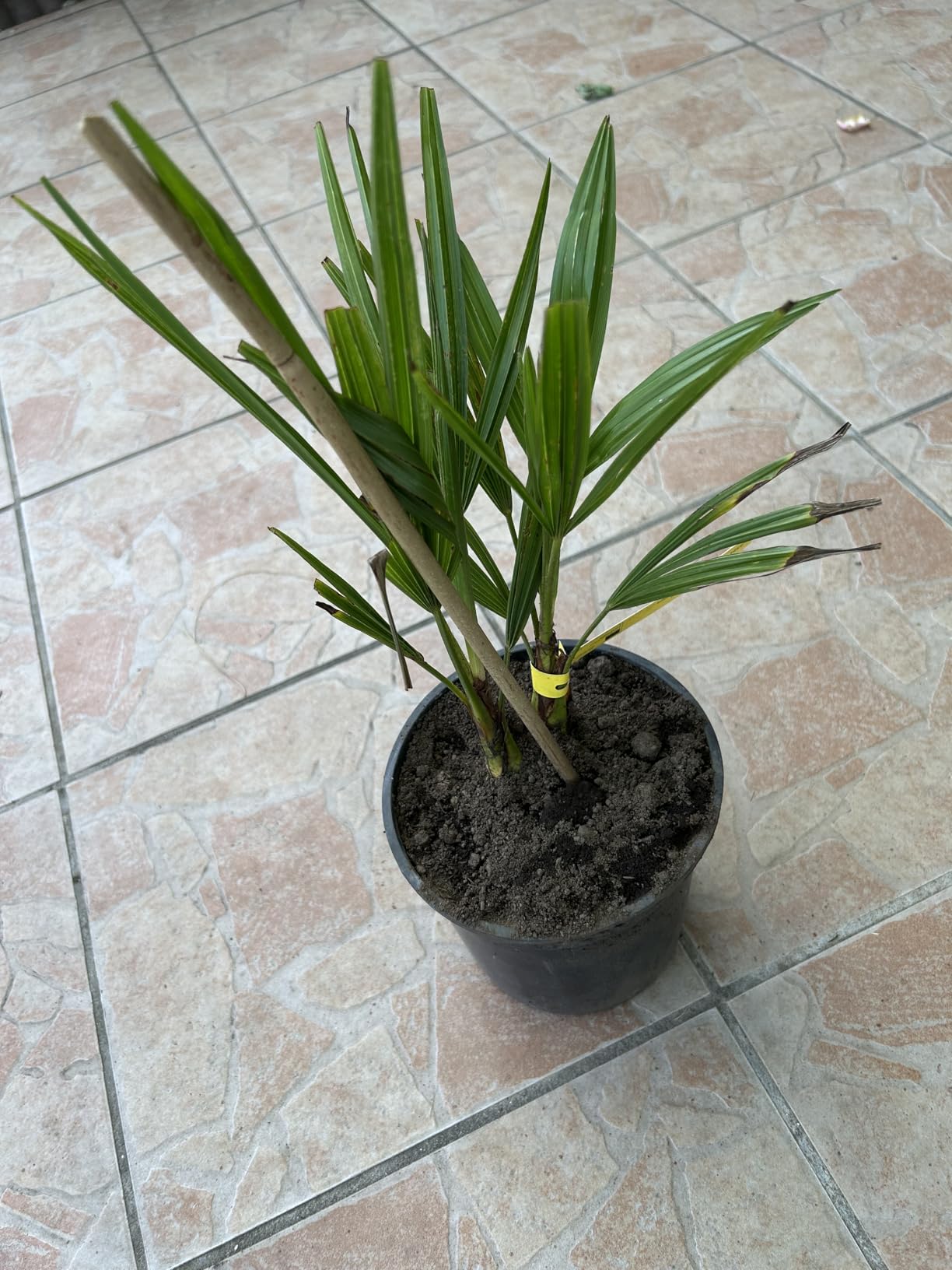 Übersteht den Winter draußen
