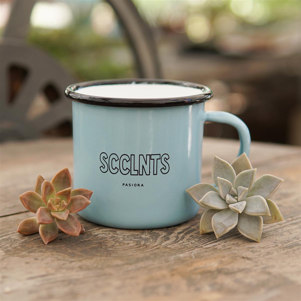 pasiora-emaille-tasse-sukkulenten-motiv-mit-pflegeanleitung image 2