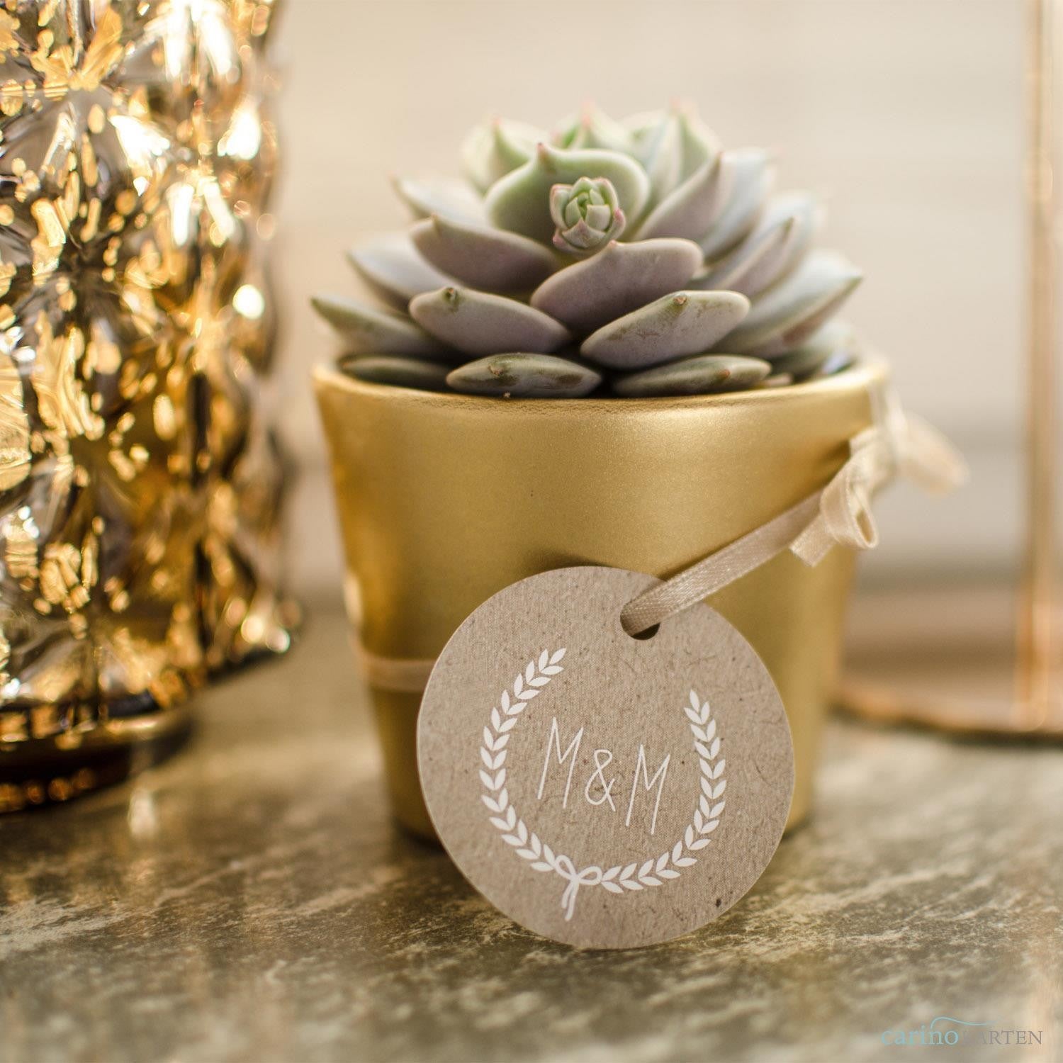 pasiora-sukkulenten-gastgeschenke-set-zum-zusammenstellen image 3