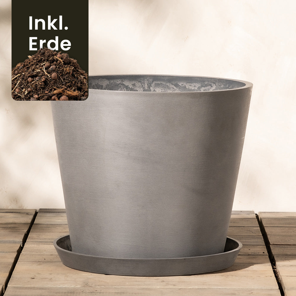 feey-kunststoff-pflanzk-bel-amsterdam-40-cm-durchmesser-mit-drainage image 6