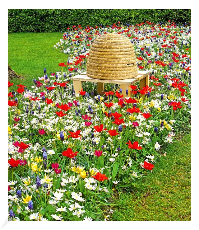 baldur-garten-fr-hlings-zwiebelmix-bienenkorb-50-zwiebeln image 1