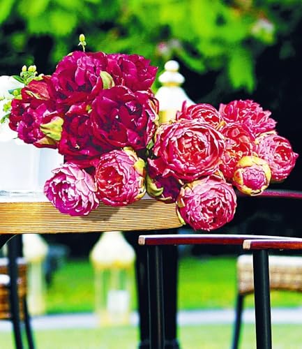 baldur-garten-10x-rosen-tulpen-rarit-ten-blumenzwiebeln-40-cm image 4