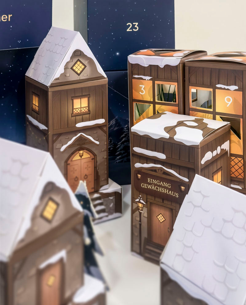 feey-pflanzen-adventskalender-winterdorf-im-abendblau-dschungel-version image 2