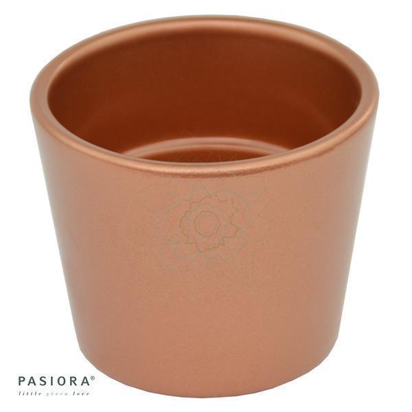 pasiora-bertopf-kupfer-f-r-6-cm-sukkulenten image 1
