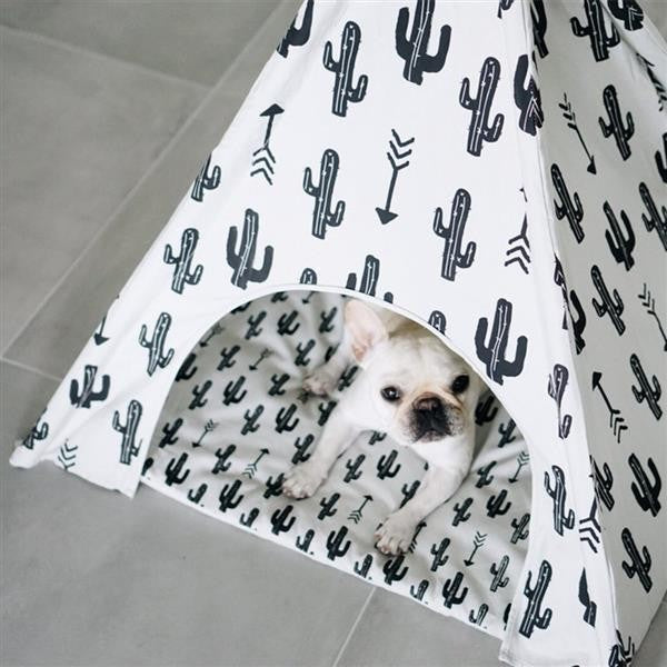 pasiora-kaktus-tipi-f-r-hunde-r-ckzugsort-haustier image 2