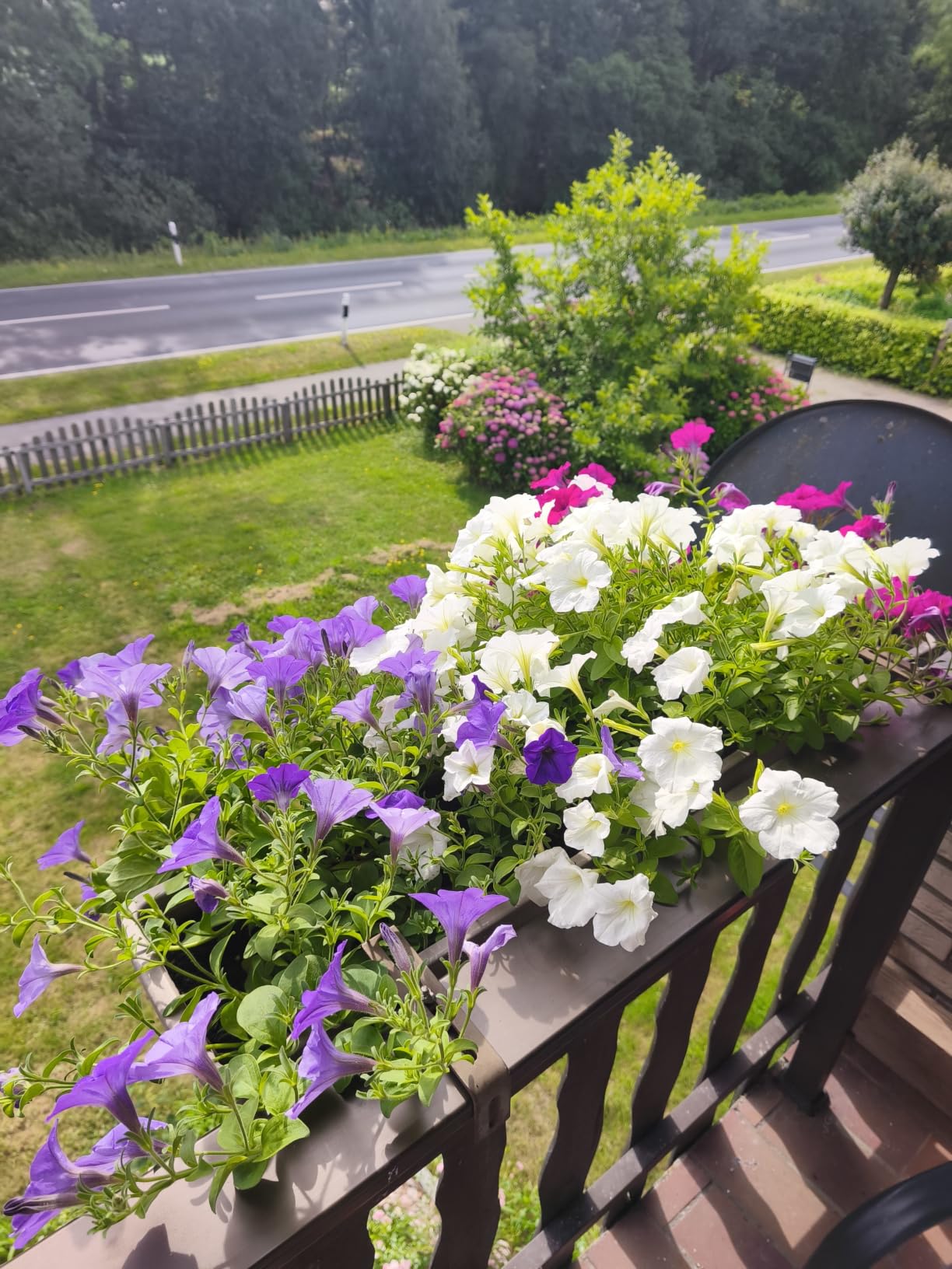 Balkon explodiert vor Farbe