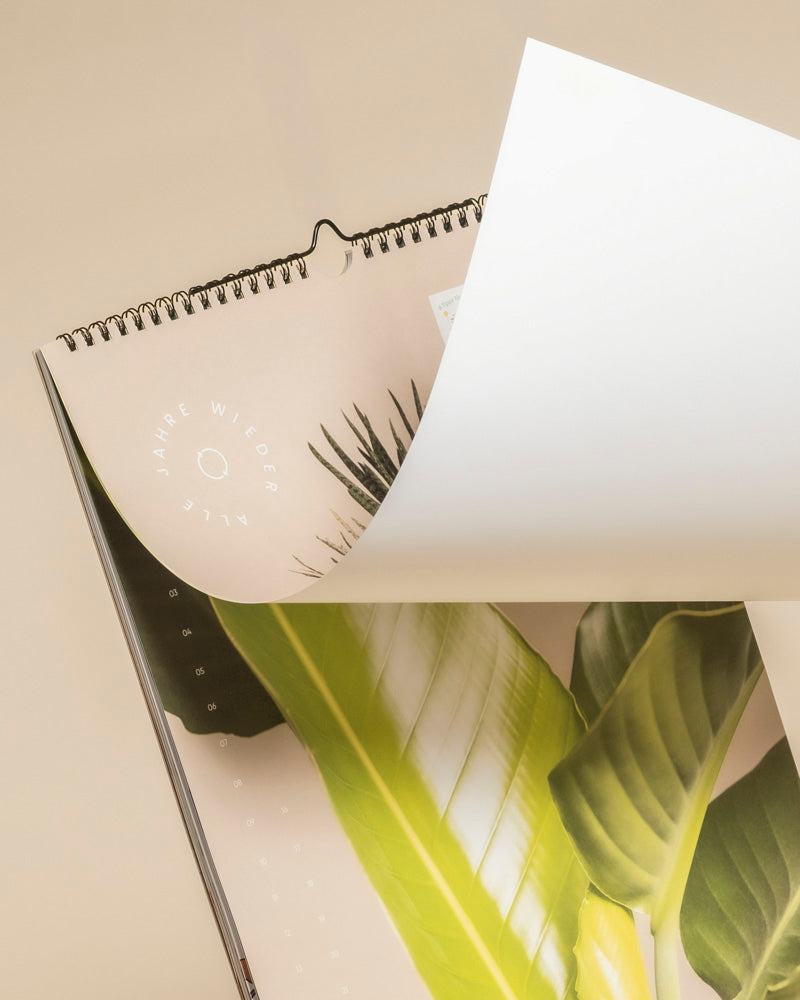 feey-pflanzenkalender-immerw-hrender-a3-kalender-mit-pflegetipps image 5