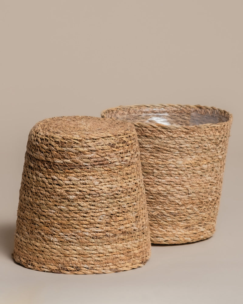 feey-kesat-pflanzkorb-set-seegras-2x18-cm image 6
