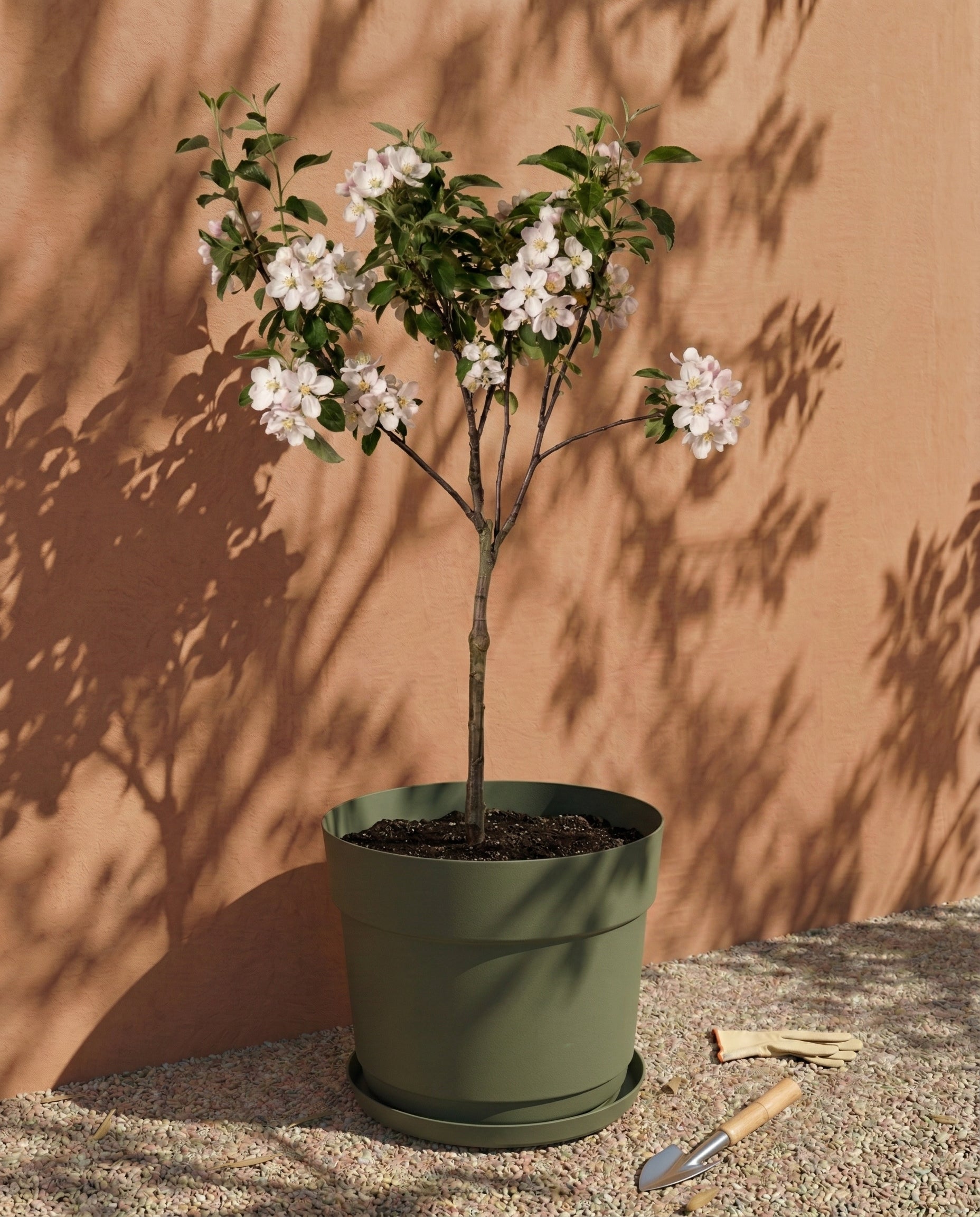 feey-kunststoff-pflanzk-bel-bloom-38-cm image 5