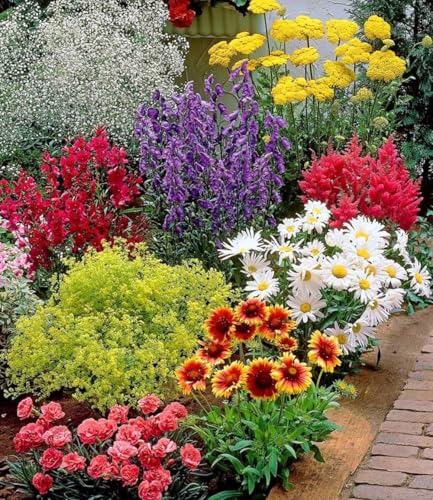 baldur-garten-bunter-staudengarten-18er-set-im-7x7-cm-topf image 2