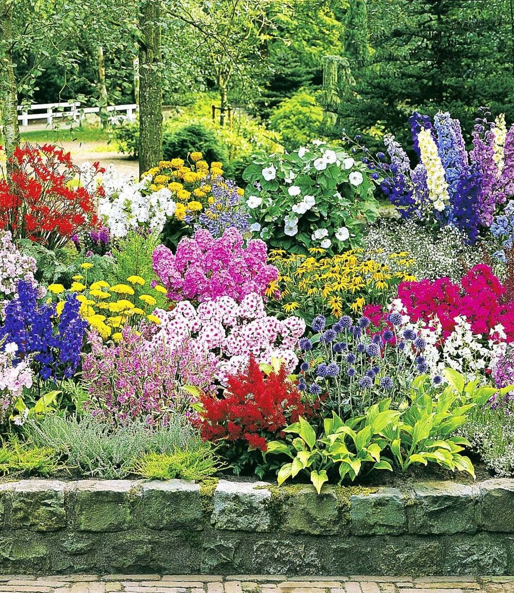 baldur-garten-staudenbeet-multi-colour-24er-set-im-7x7-cm-topf image 2