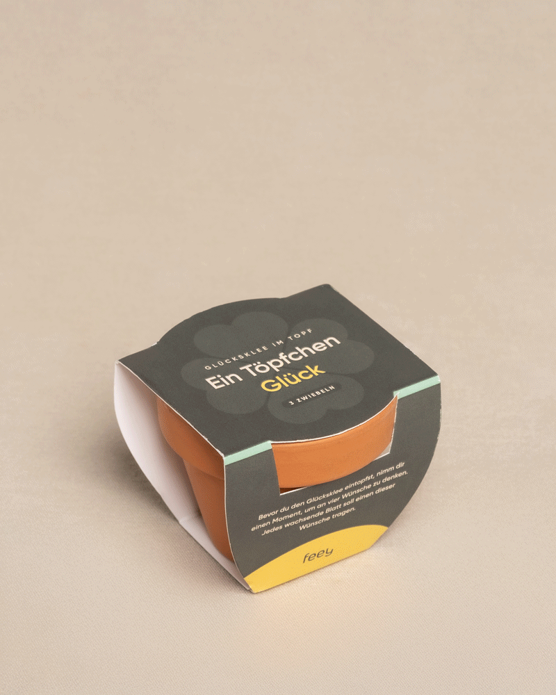 feey-gl-cksklee-mini-set-mit-zwiebeln-erde-und-topf image 5