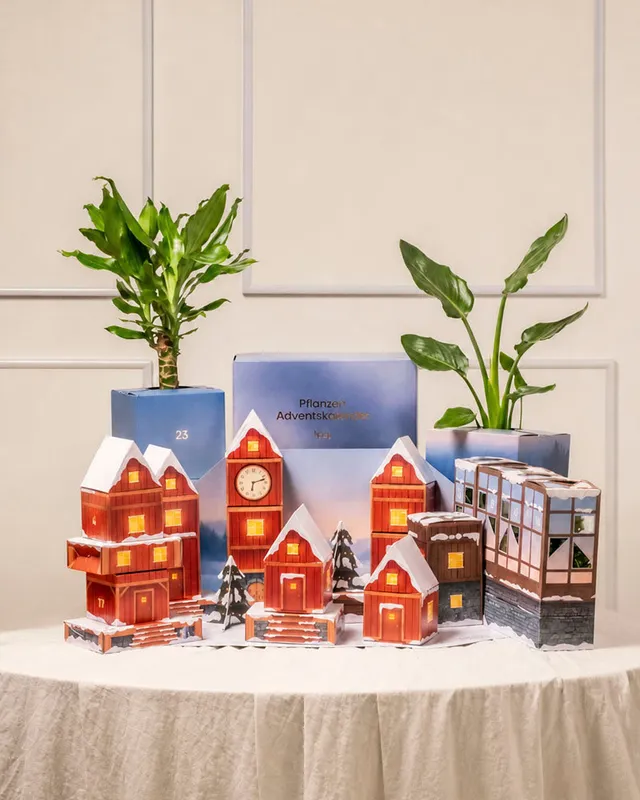 feey-pflanzen-adventskalender-winterdorf-im-morgenrot image 1