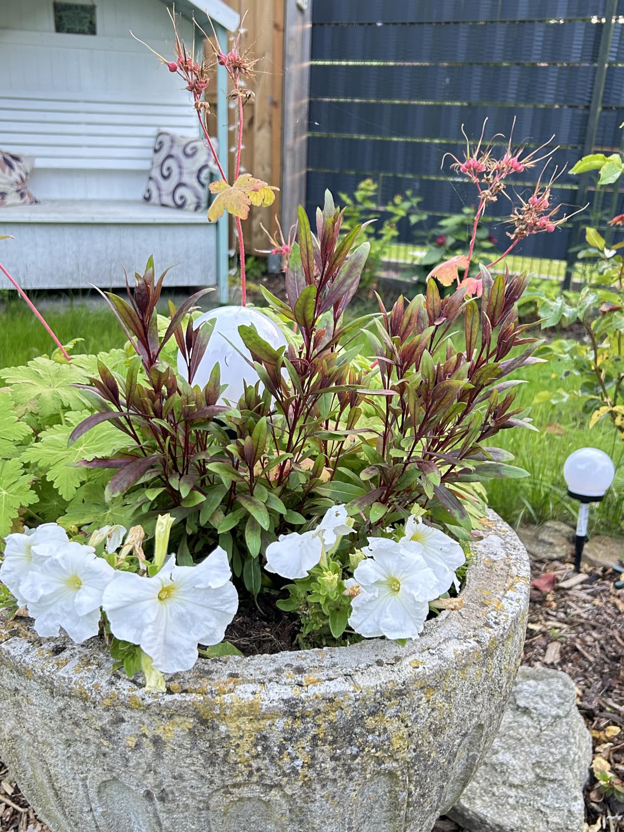 Blüten ohne Ende