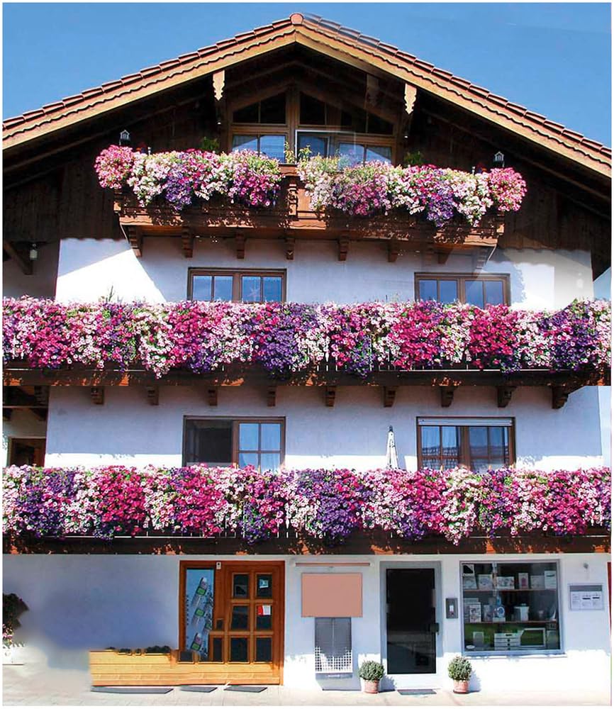 baldur-garten-h-nge-petunien-alpetunia-kollektion-9-pflanzen image 1