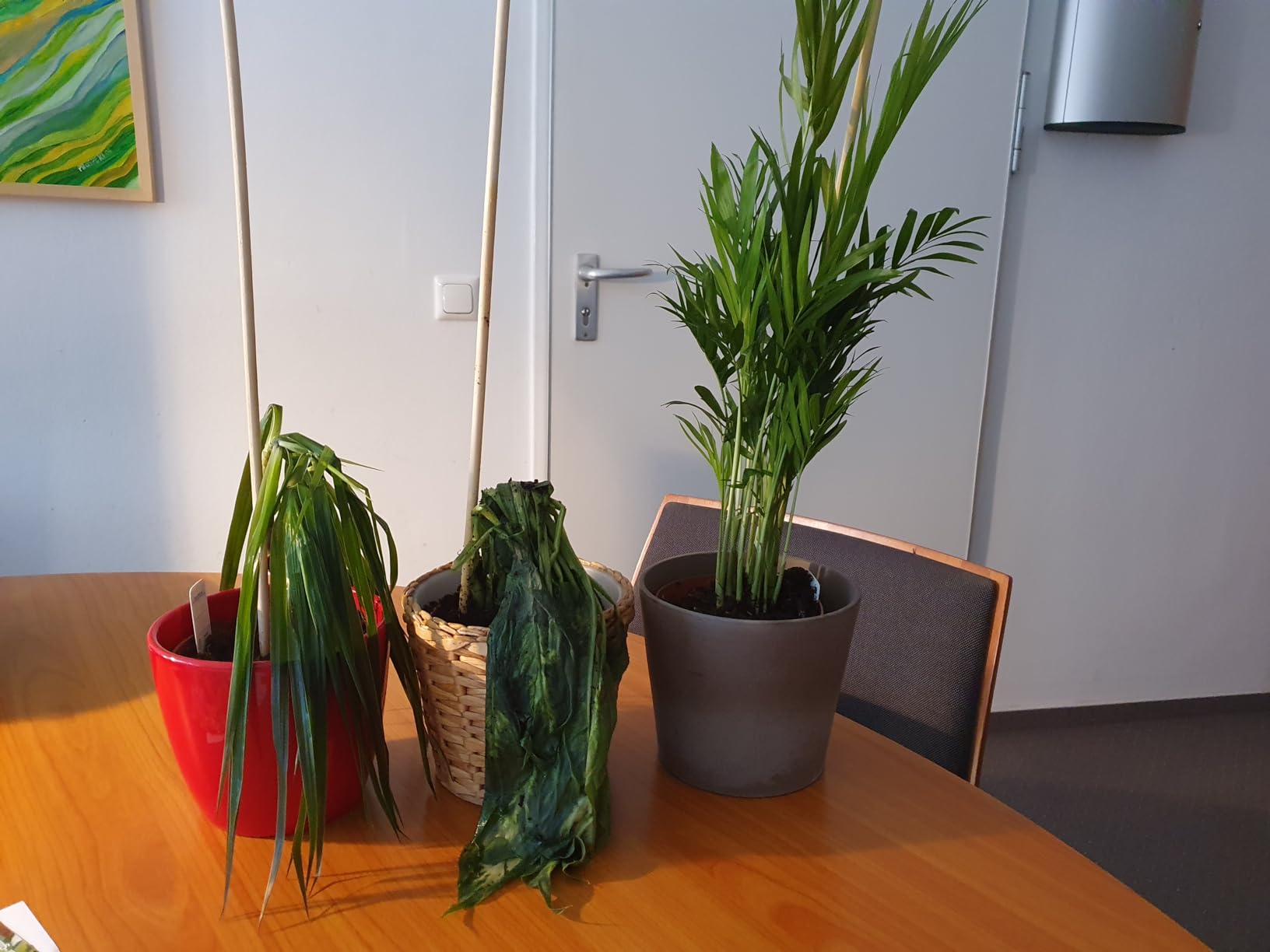Perfekt fürs Büro
