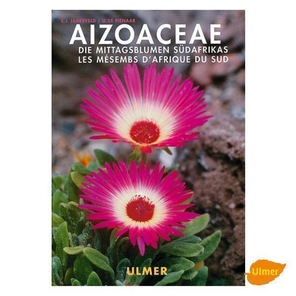 pasiora-aizoaceae-mittagsblumengew-chse-fachbuch-literatur image 1