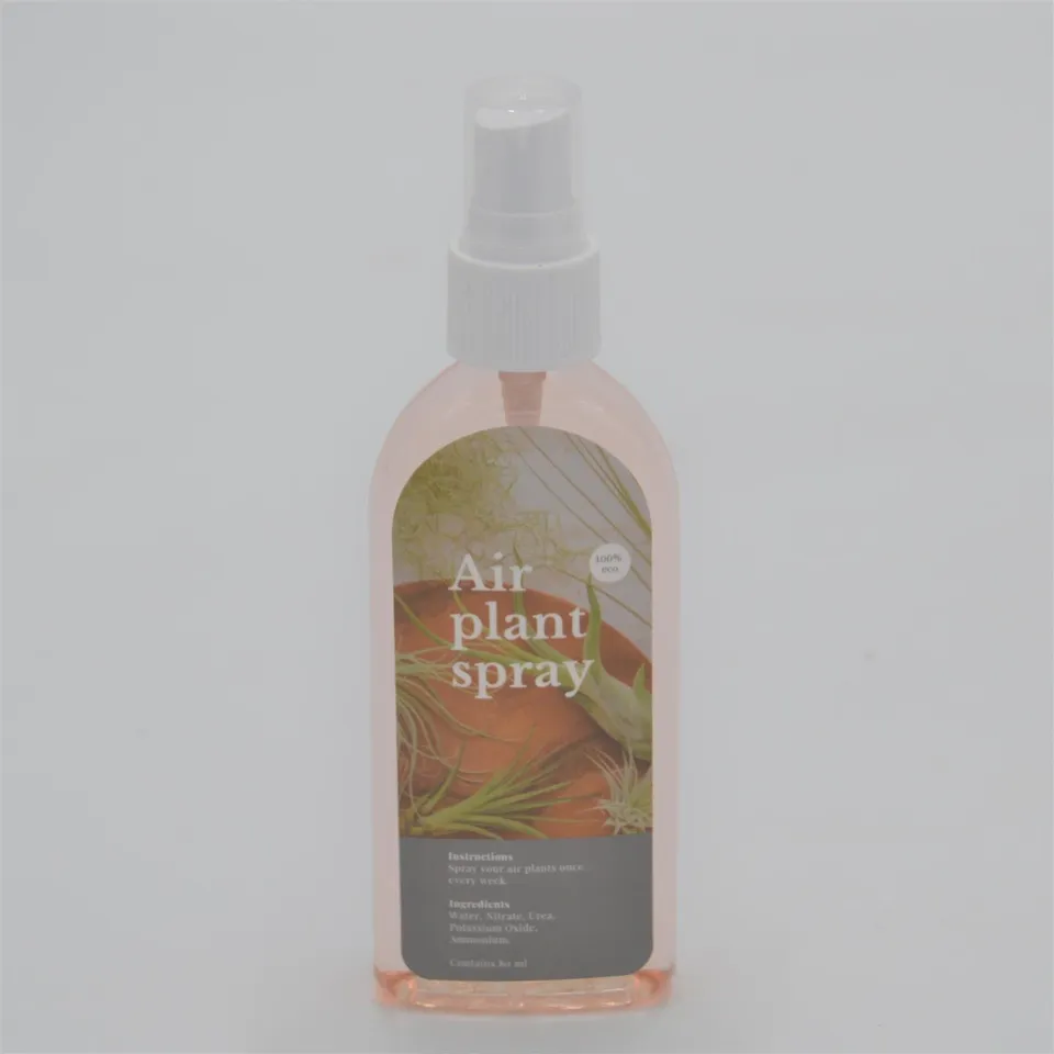 pasiora-air-plant-spray-tillandsiend-nger image 1