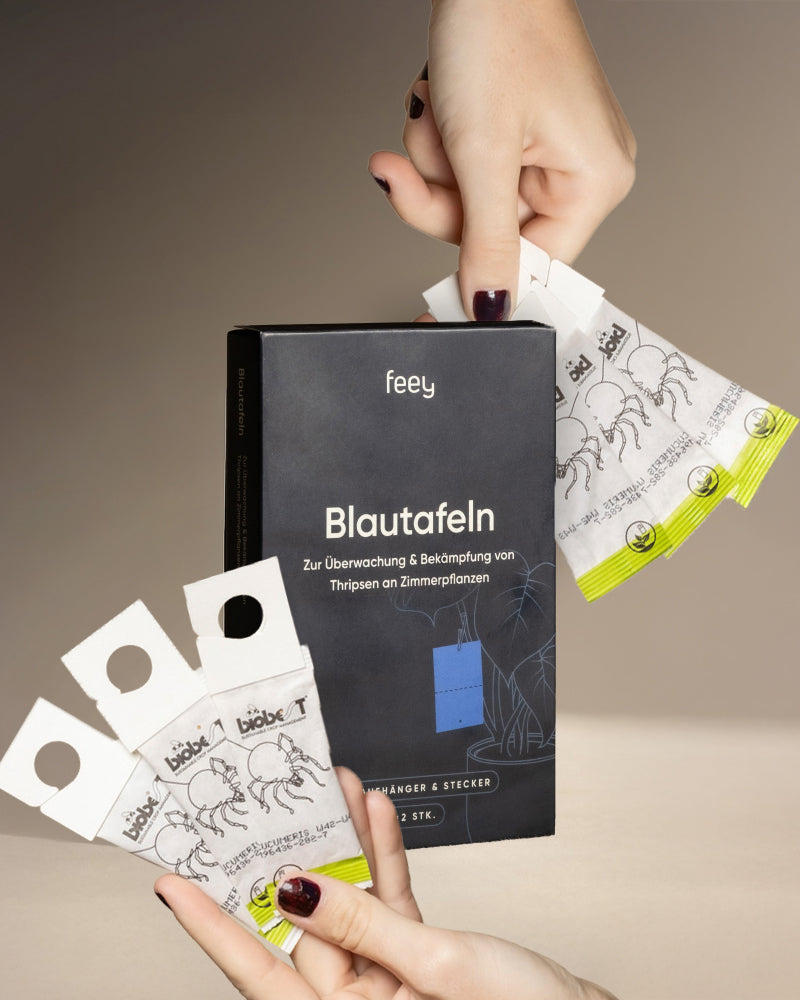 feey-bek-mpfungsset-gegen-thripse-blautafeln-raubmilben image 3