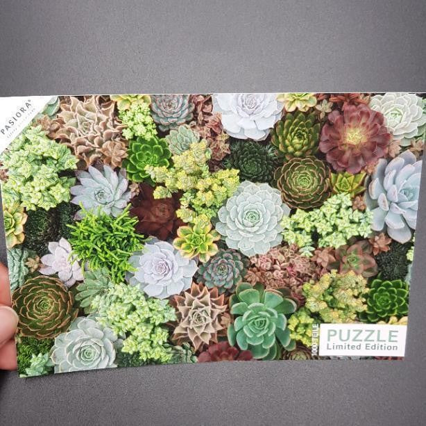 pasiora-sukkulenten-puzzle-1000-teile image 3