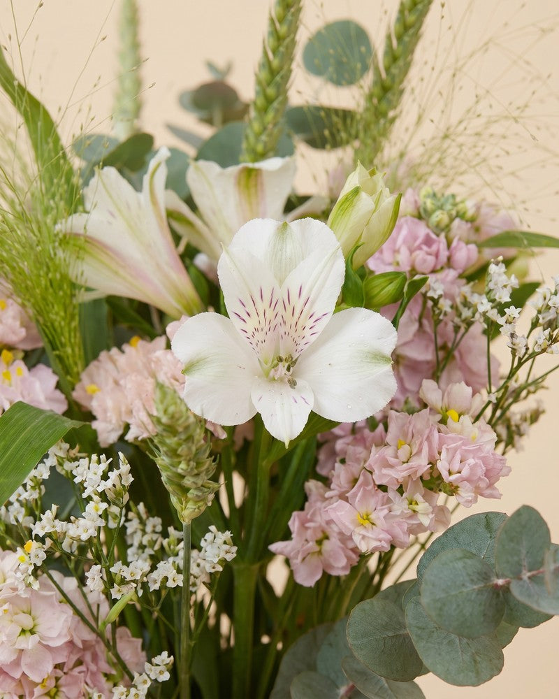 feey-perlenglanz-blumenstrau-alstroemeria-neuheit image 2
