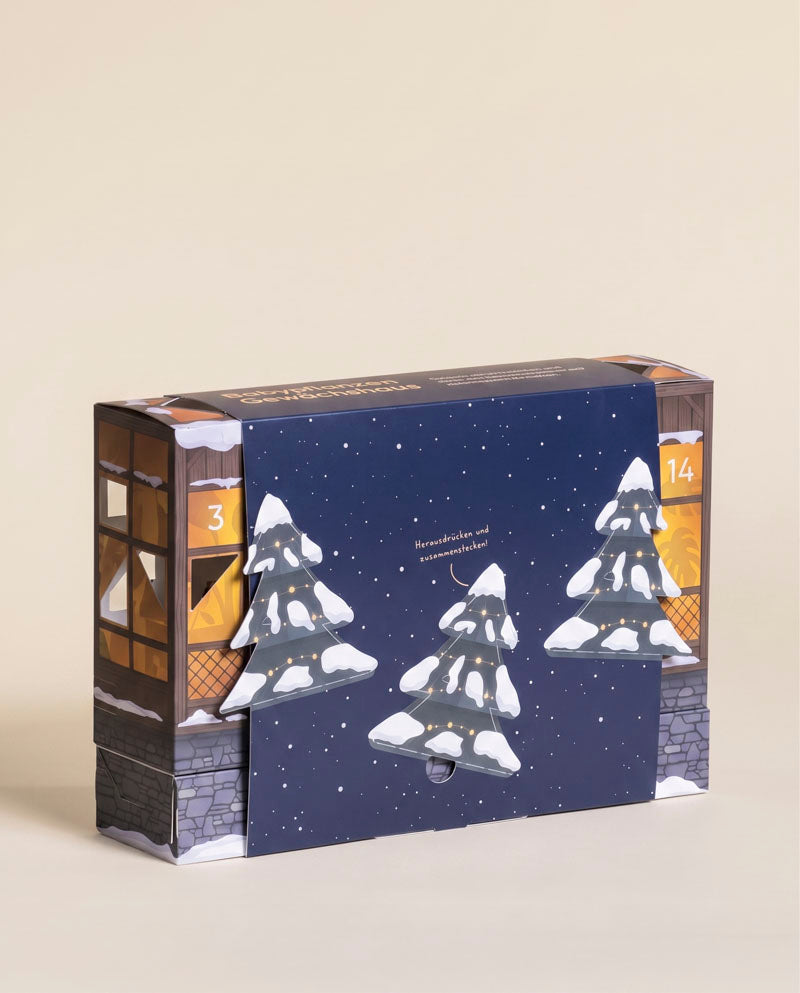 feey-abendblau-adventskalender-pflanzen-produkte-1-2-lebendpflanzen-pflege image 2