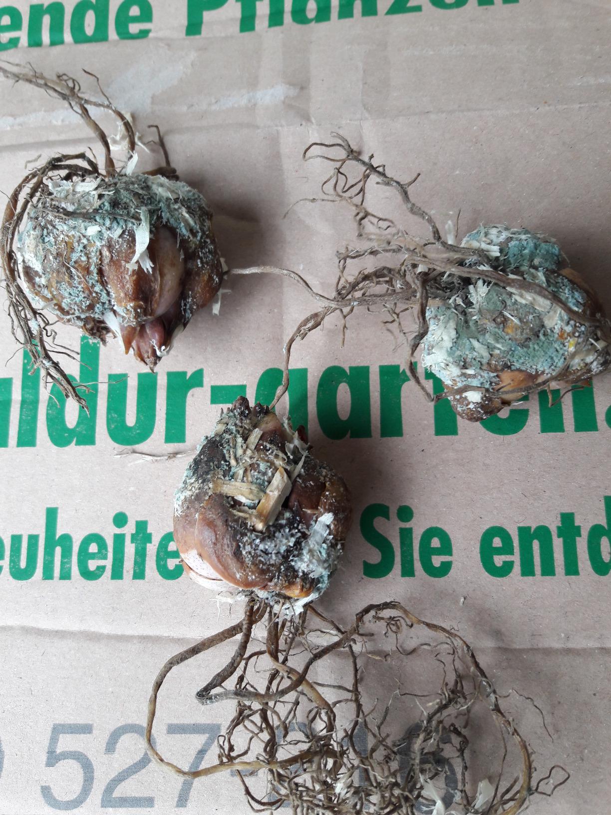 Geschenk für Mama