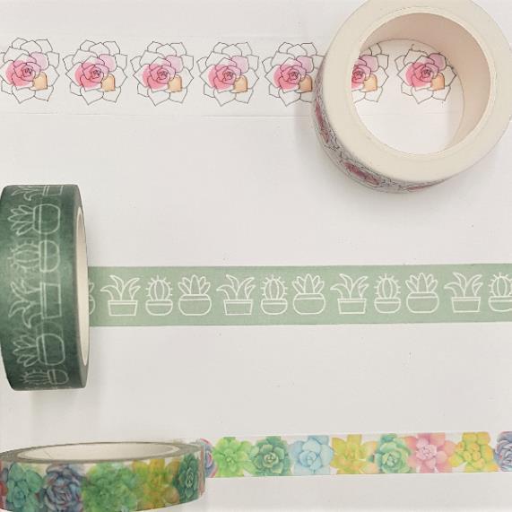 pasiora-washi-tape-mit-sukkulenten-3-rollen-set image 1