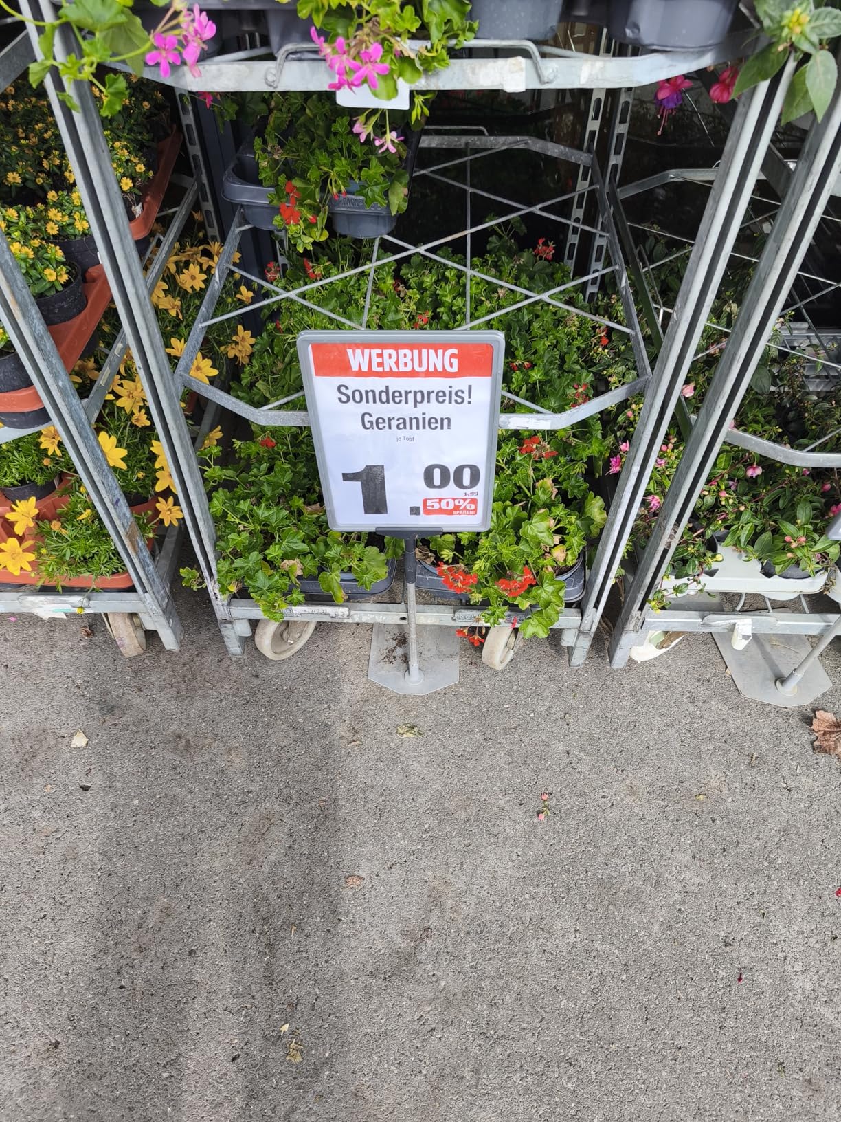 Schöne Mischung