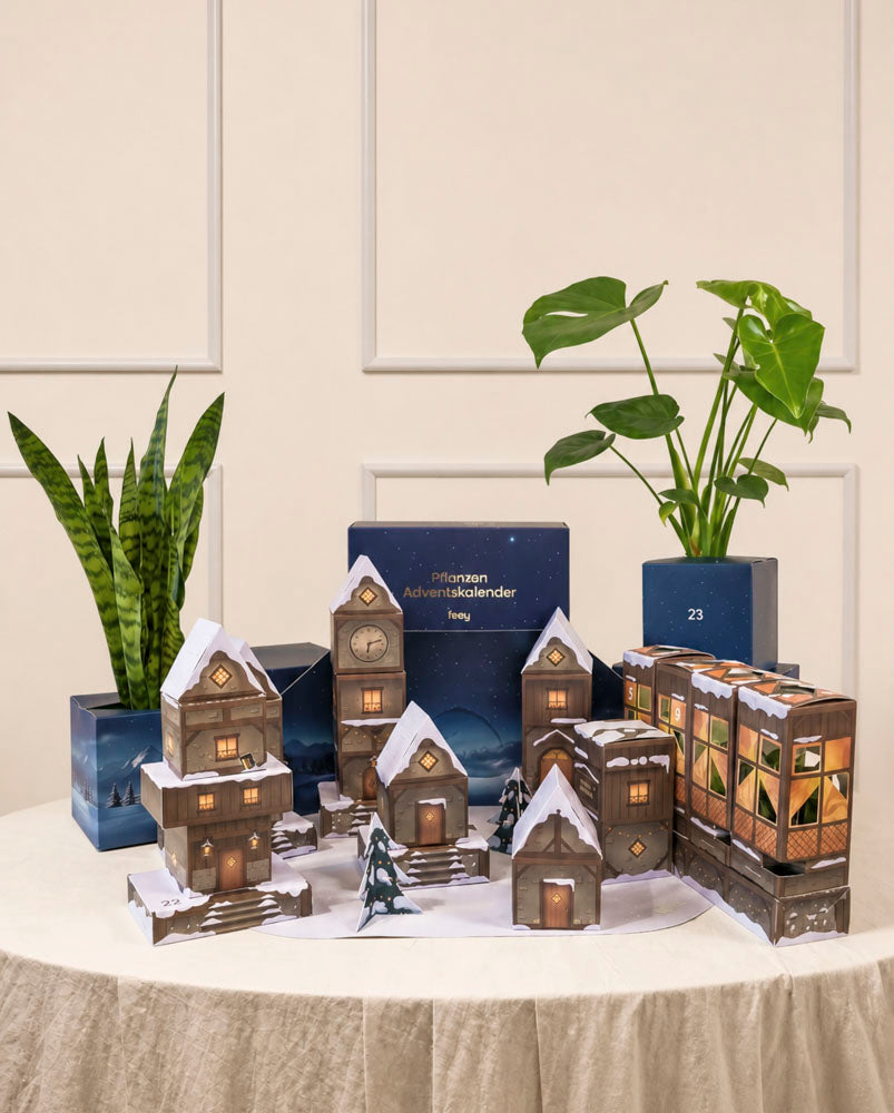 feey-pflanzen-adventskalender-winterdorf-im-abendblau image 1