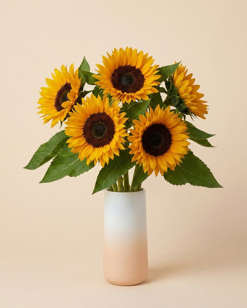feey-sonnenblumen-schnittblumen-frische-helianthus image 5
