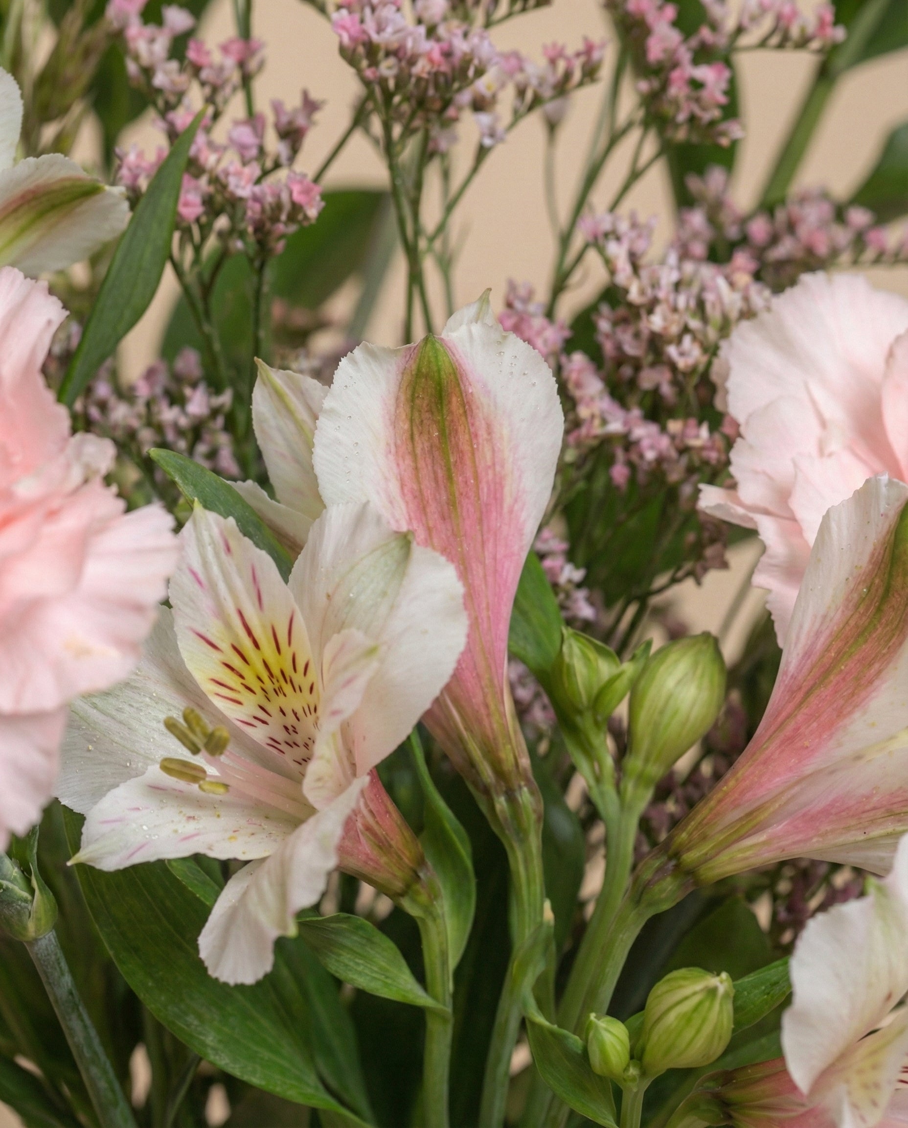 feey-umarmung-blumenstrau-alstroemeria-dianthus image 7