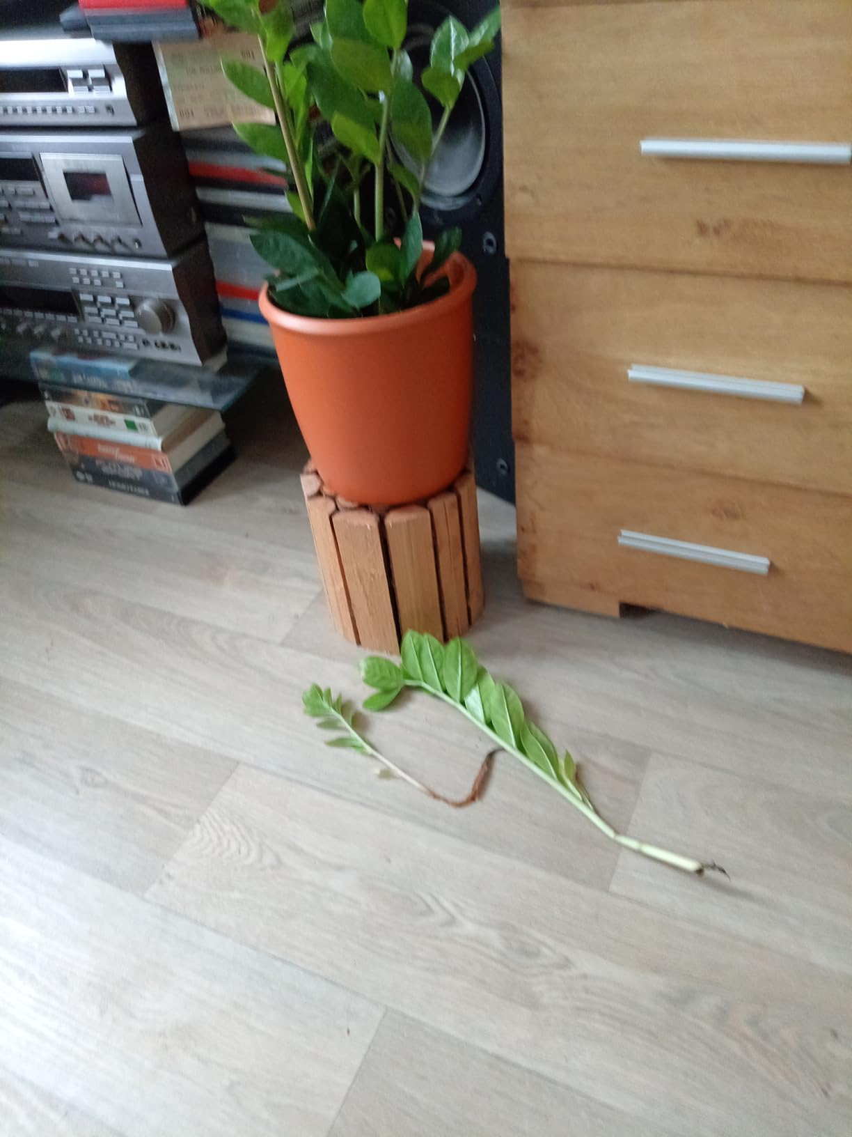 Anfängerfreundlich