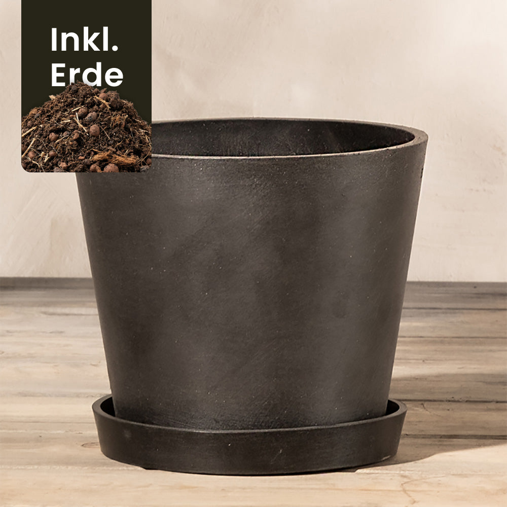 feey-pflanzk-bel-amsterdam-20-cm-kunststoff-mit-drainage image 6