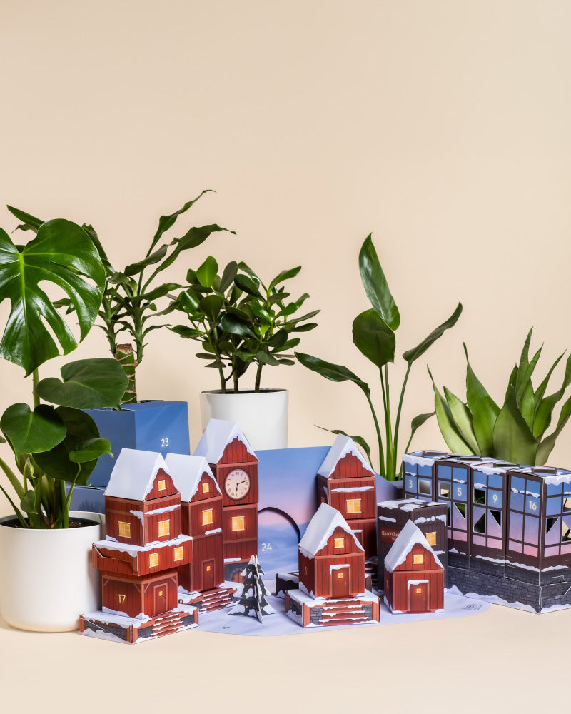 feey-dschungel-extra-zum-adventskalender-abendblau image 3