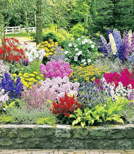 baldur-garten-staudenbeet-multi-colour-24er-set-im-7x7-cm-topf image 5